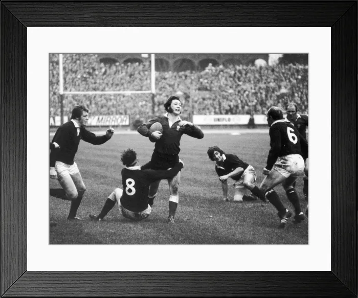 Framed Print : Five Nation Championship Wales v Scotland 19th January 1974 John Williams of Wales Framed Print : Five Nation Championship Wales v Scotland 19th January 1974 John Williams of Wales