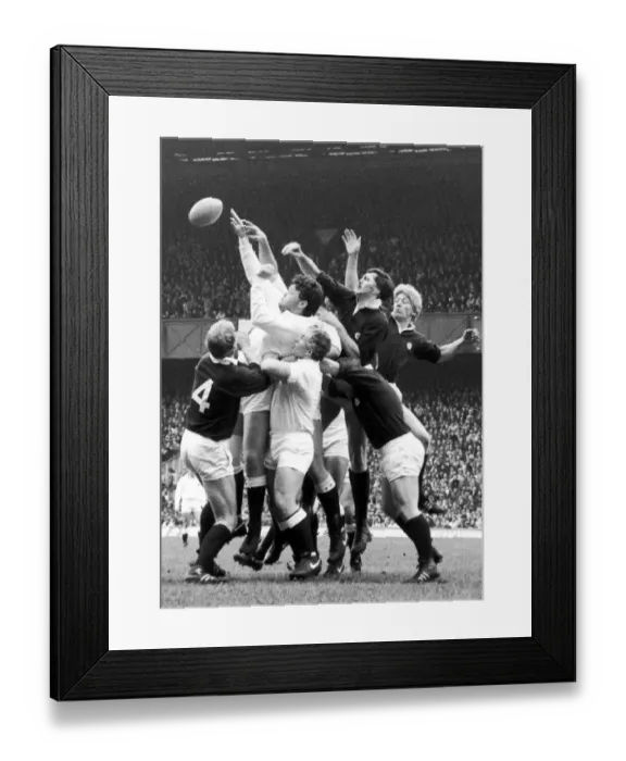 Framed Print : England v Scotland Calcutta Cup 19th March 1985 Action from a line out during