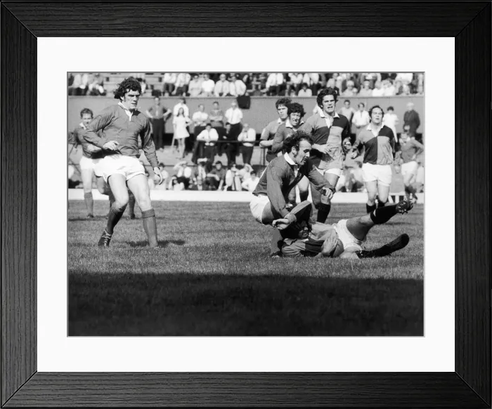 Framed Print : Harlequins v Llanelli 18th September 1971 P Bennett No 10 of Llanelli not satisfied with
