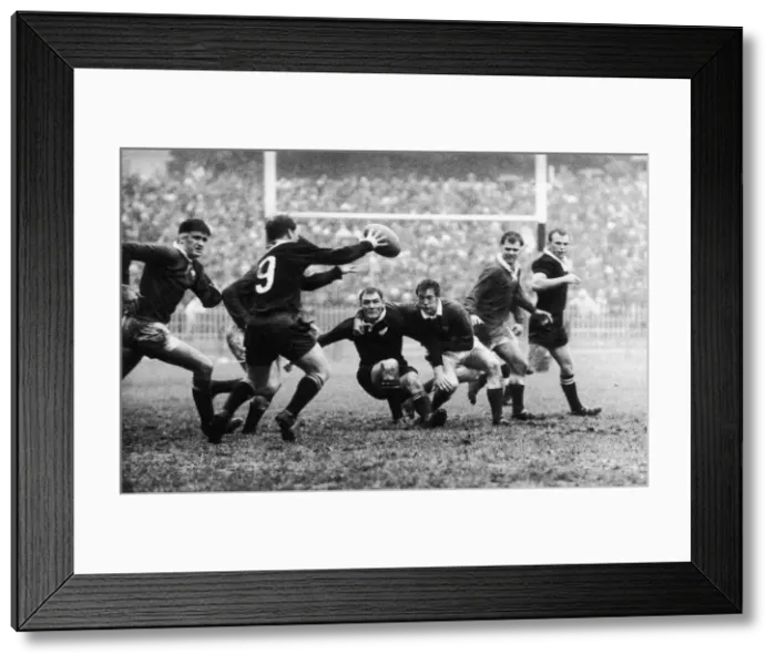 Framed Print : Wales v All Blacks 11th November 1967 All Blacks No9 C R Laidlow takes possession