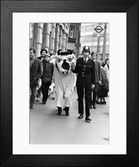 Framed Print : Photo-call for play Revenge, showing at The Upstairs Theatre, Sloane Square Framed Print : Photo-call for play Revenge, showing at The Upstairs Theatre, Sloane Square