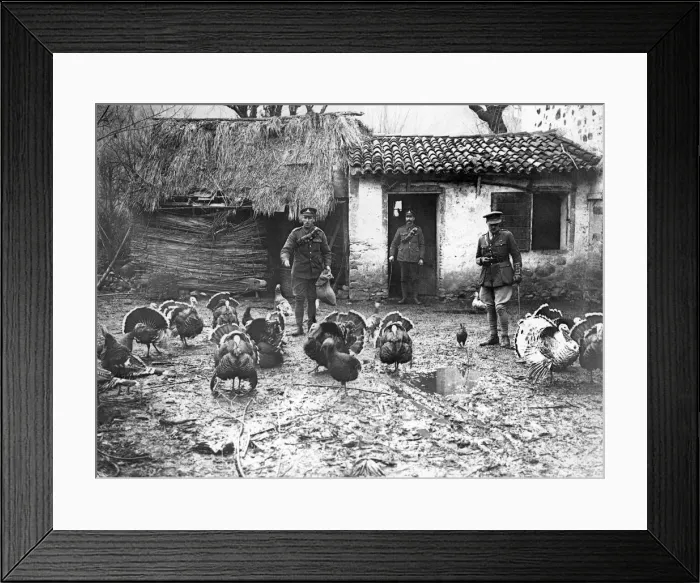 Framed Print : Their last parade. - The turkeys about to be commandeered to make dinner for our troops