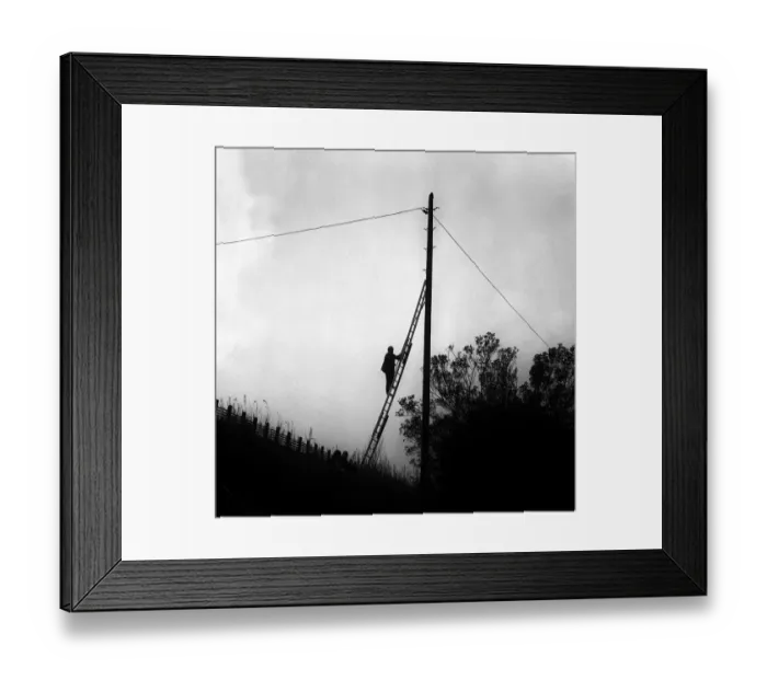 Framed Print : Lib - A cat climbed to the top of the pole on a railway embankment on Shields Road in