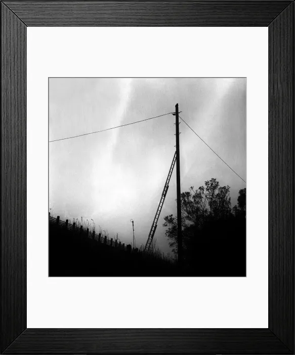 Framed Print : Lib - A cat climbed to the top of the pole on a railway embankment on Shields Road in Framed Print : Lib - A cat climbed to the top of the pole on a railway embankment on Shields Road in