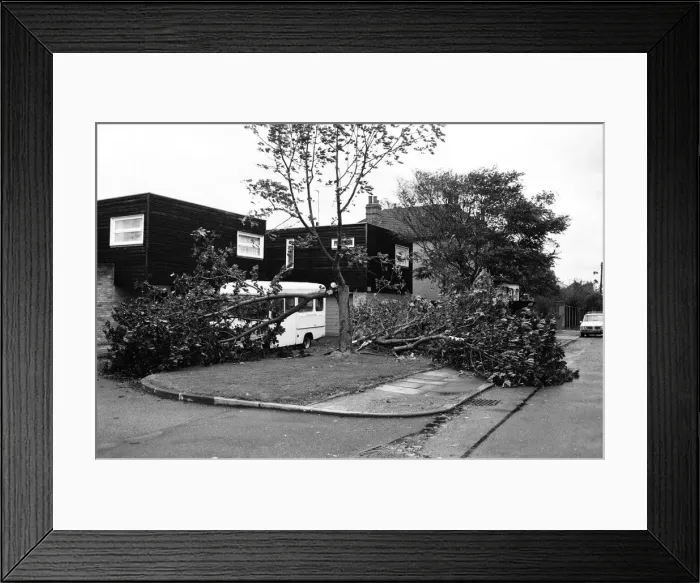 Framed Print : The 1987 Great Storm occurred on the night of 15 ? 16th October 1987 Framed Print : The 1987 Great Storm occurred on the night of 15 ? 16th October 1987