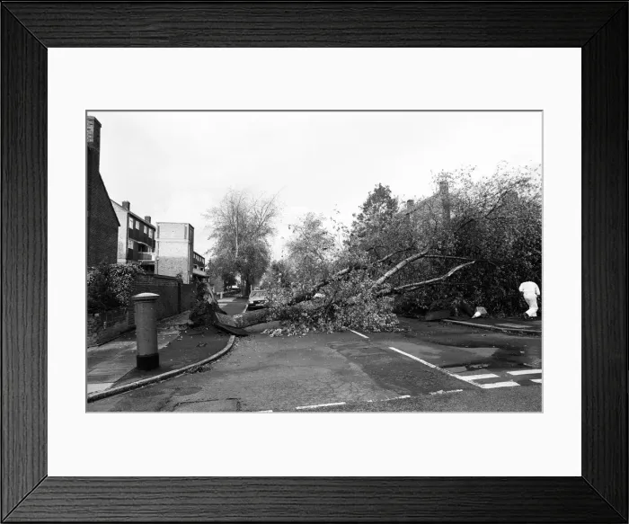 Framed Print : The 1987 Great Storm occurred on the night of 15 ? 16th October 1987 Framed Print : The 1987 Great Storm occurred on the night of 15 ? 16th October 1987