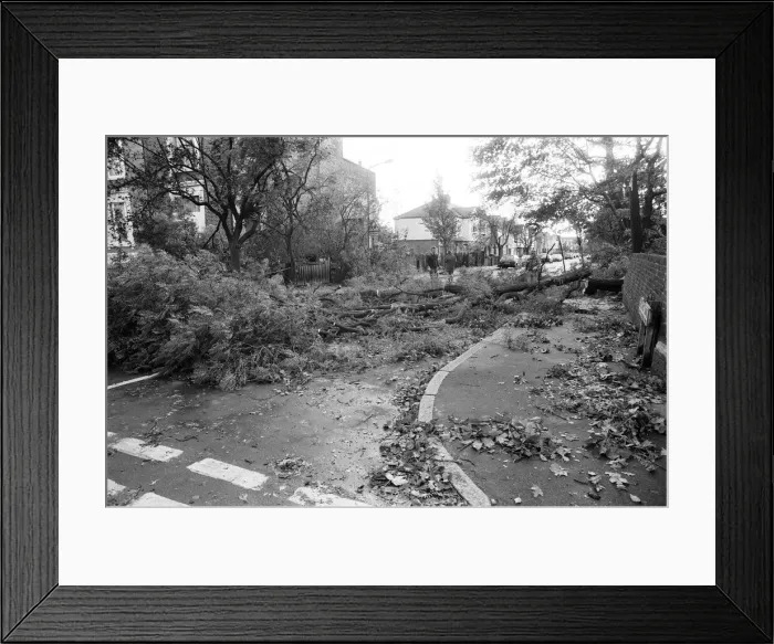 Framed Print : The 1987 Great Storm occurred on the night of 15 ? 16th October 1987 Framed Print : The 1987 Great Storm occurred on the night of 15 ? 16th October 1987