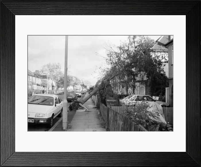 Framed Print : The 1987 Great Storm occurred on the night of 15 ? 16th October 1987 Framed Print : The 1987 Great Storm occurred on the night of 15 ? 16th October 1987