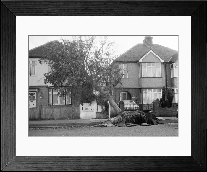 Framed Print : The 1987 Great Storm occurred on the night of 15 ? 16th October 1987 Framed Print : The 1987 Great Storm occurred on the night of 15 ? 16th October 1987