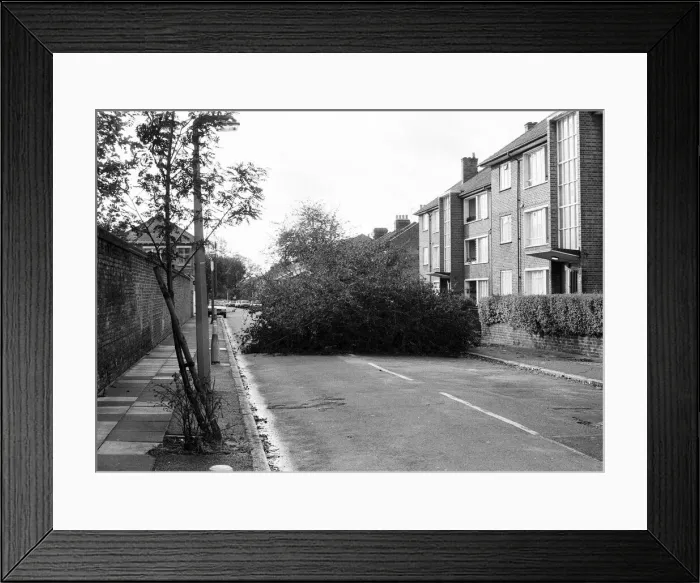 Framed Print : The 1987 Great Storm occurred on the night of 15 ? 16th October 1987 Framed Print : The 1987 Great Storm occurred on the night of 15 ? 16th October 1987