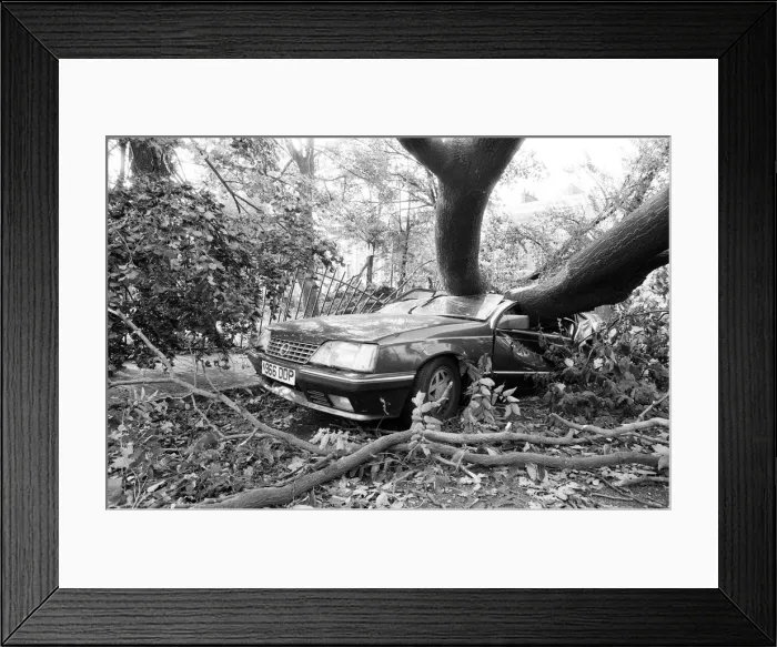 Framed Print : The 1987 Great Storm occurred on the night of 15 ? 16th October 1987 Framed Print : The 1987 Great Storm occurred on the night of 15 ? 16th October 1987