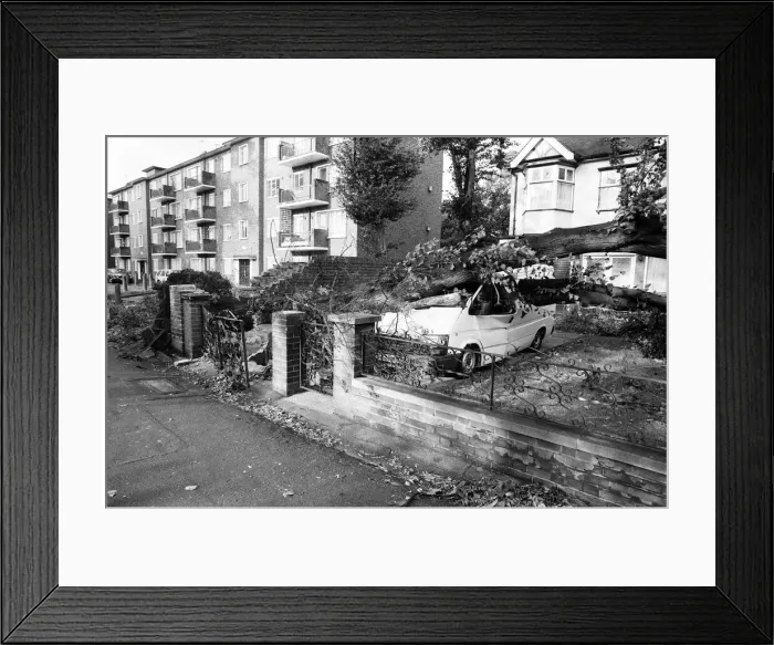 Framed Print : The 1987 Great Storm occurred on the night of 15 ? 16th October 1987 Framed Print : The 1987 Great Storm occurred on the night of 15 ? 16th October 1987