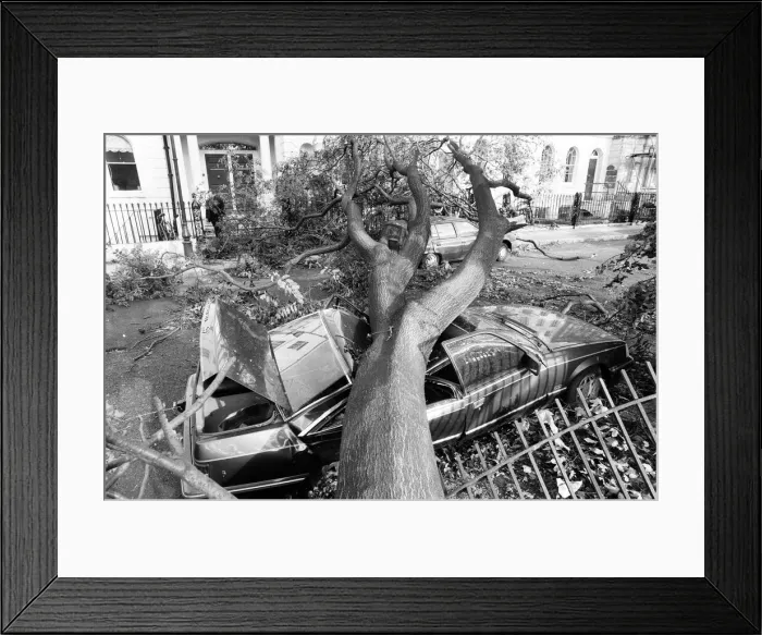 Framed Print : The 1987 Great Storm occurred on the night of 15 ? 16th October 1987 Framed Print : The 1987 Great Storm occurred on the night of 15 ? 16th October 1987