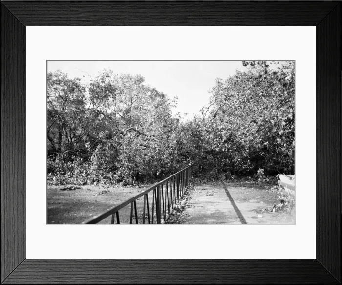 Framed Print : The 1987 Great Storm occurred on the night of 15 ? 16th October 1987