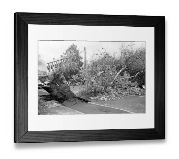 Framed Print : The 1987 Great Storm occurred on the night of 15 ? 16th October 1987 Framed Print : The 1987 Great Storm occurred on the night of 15 ? 16th October 1987