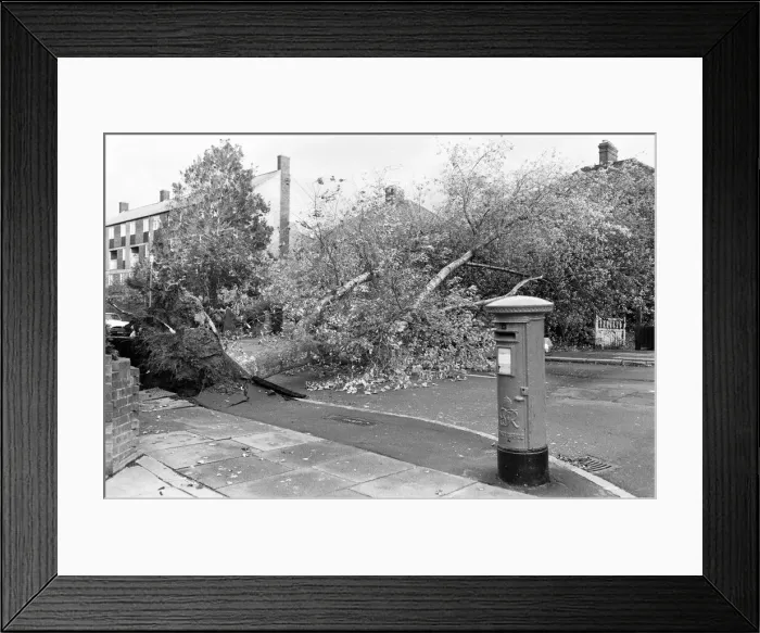 Framed Print : The 1987 Great Storm occurred on the night of 15 ? 16th October 1987 Framed Print : The 1987 Great Storm occurred on the night of 15 ? 16th October 1987