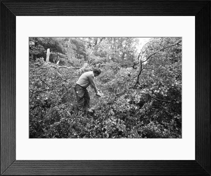 Framed Print : The 1987 Great Storm occurred on the night of 15?16th October 1987 Framed Print : The 1987 Great Storm occurred on the night of 15?16th October 1987