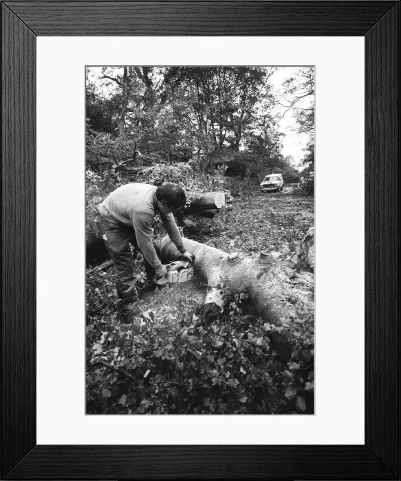 Framed Print : The 1987 Great Storm occurred on the night of 15?16th October 1987 Framed Print : The 1987 Great Storm occurred on the night of 15?16th October 1987