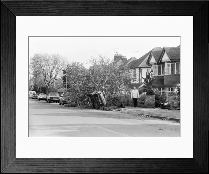 Framed Print : The 1987 Great Storm occurred on the night of 15 ? 16th October 1987 Framed Print : The 1987 Great Storm occurred on the night of 15 ? 16th October 1987