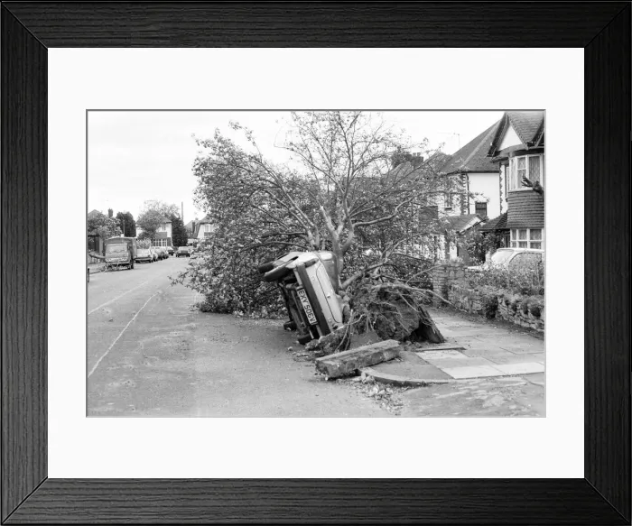 Framed Print : The 1987 Great Storm occurred on the night of 15 ? 16th October 1987 Framed Print : The 1987 Great Storm occurred on the night of 15 ? 16th October 1987
