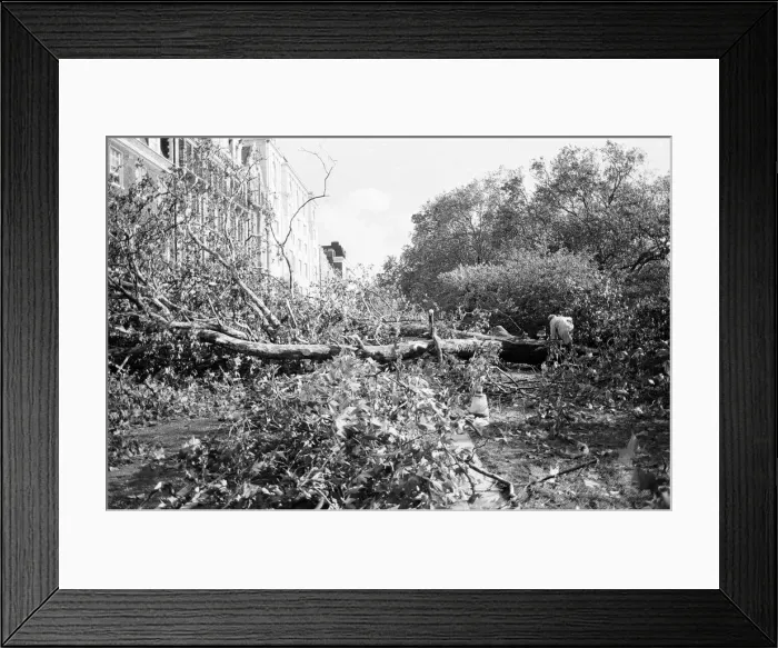 Framed Print : The 1987 Great Storm occurred on the night of 15 ? 16th October 1987 Framed Print : The 1987 Great Storm occurred on the night of 15 ? 16th October 1987
