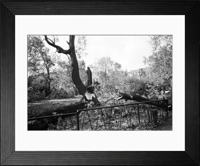 Framed Print : The 1987 Great Storm occurred on the night of 15 ? 16th October 1987 Framed Print : The 1987 Great Storm occurred on the night of 15 ? 16th October 1987