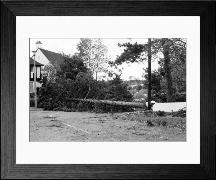 Framed Print : The 1987 Great Storm occurred on the night of 15 ? 16th October 1987