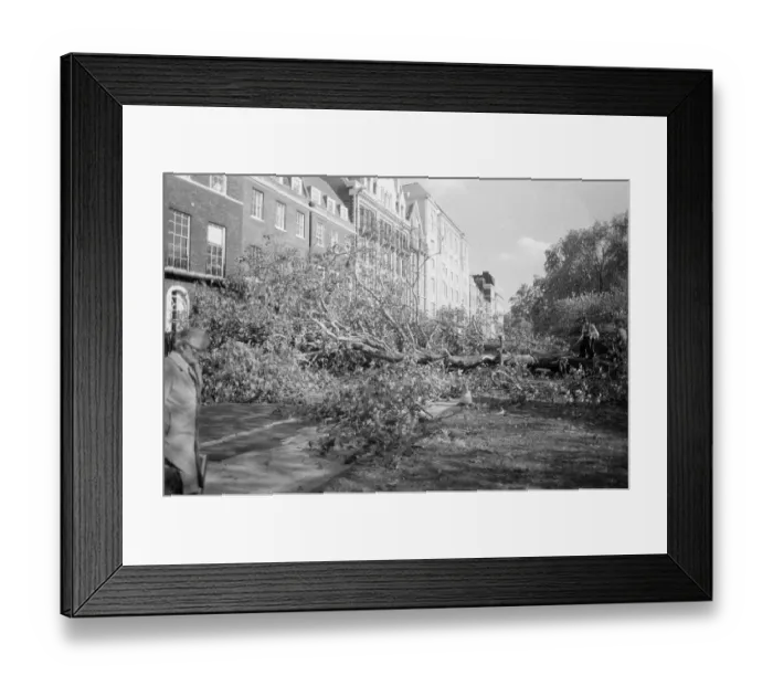 Framed Print : The 1987 Great Storm occurred on the night of 15 ? 16th October 1987 Framed Print : The 1987 Great Storm occurred on the night of 15 ? 16th October 1987