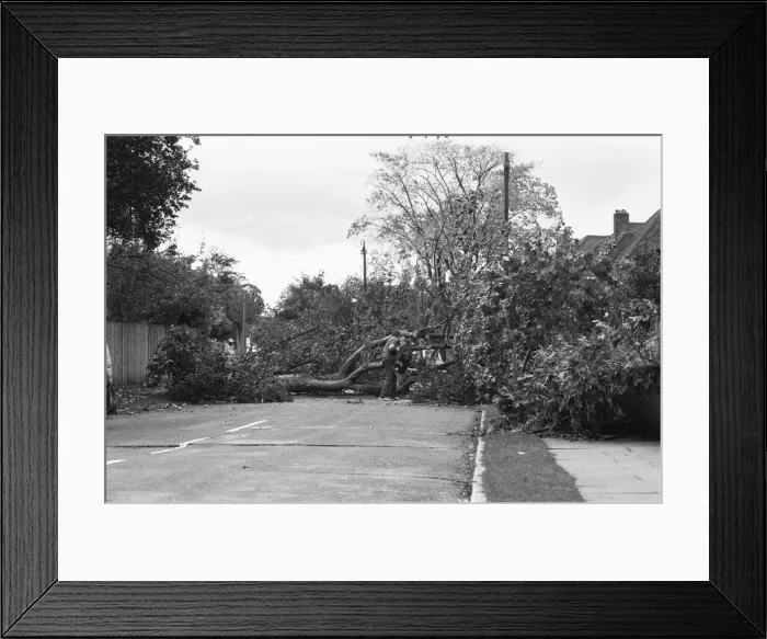 Framed Print : The 1987 Great Storm occurred on the night of 15 ? 16th October 1987 Framed Print : The 1987 Great Storm occurred on the night of 15 ? 16th October 1987