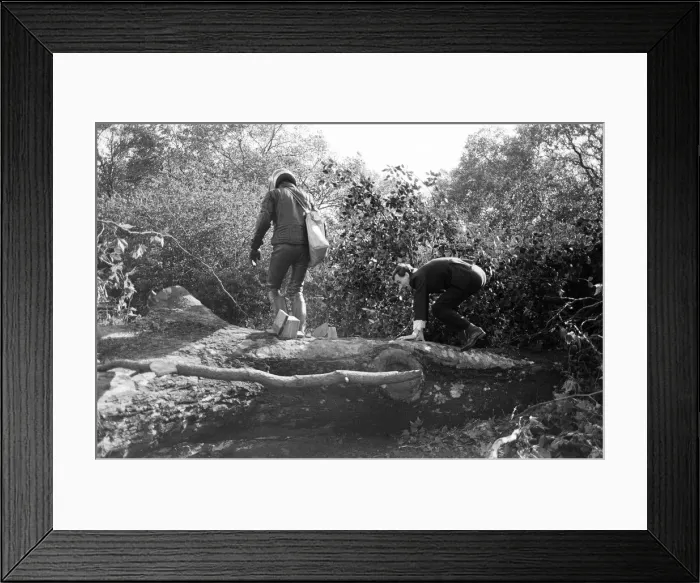 Framed Print : The 1987 Great Storm occurred on the night of 15 ? 16th October 1987 Framed Print : The 1987 Great Storm occurred on the night of 15 ? 16th October 1987