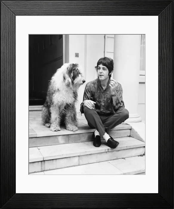 Framed Print : Paul McCartney at his St Johns Wood house on his 25th birthday 18th June 1967