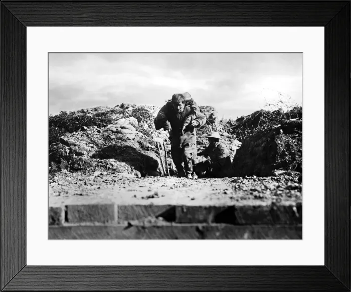 Framed Print : Battle of Albert: A wounded man of the 29th Division being brought in across a sunken Framed Print : Battle of Albert: A wounded man of the 29th Division being brought in across a sunken