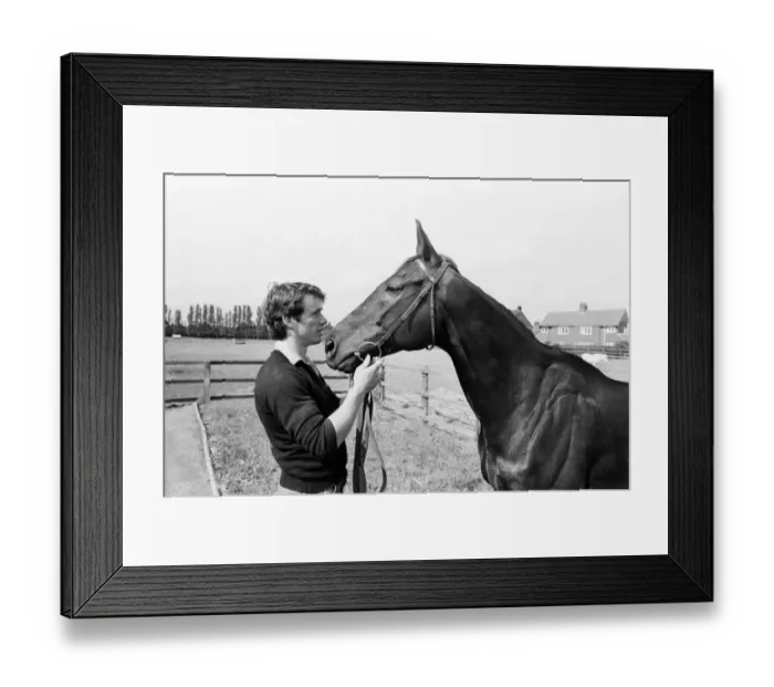 Framed Print : Racehorse Sea Pigeon winner of thirty-seven races, seen here with Steven Muldoon son of