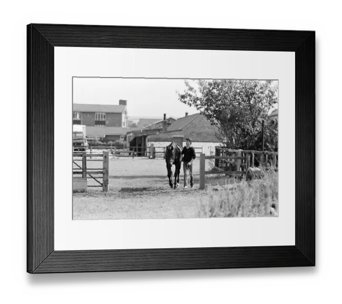 Framed Print : Racehorse Sea Pigeon winner of thirty-seven races, seen here with Steven Muldoon son of