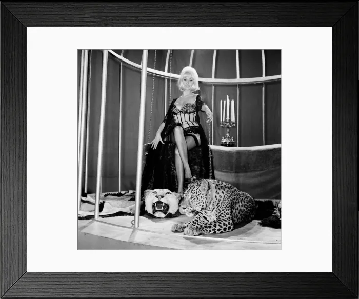 Framed Print : Jacqueline Jones, 22, in her first big start part shares her bedroom with a Leopard