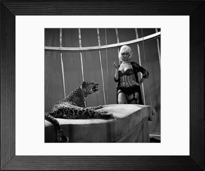 Framed Print : Jacqueline Jones, 22, in her first big start part shares her bedroom with a Leopard Framed Print : Jacqueline Jones, 22, in her first big start part shares her bedroom with a Leopard
