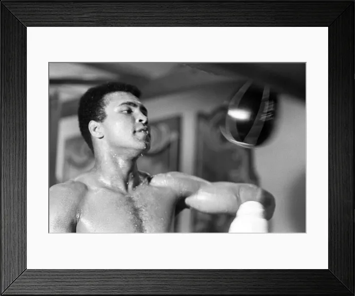 Framed Print : Muhammad Ali training ahead of his rematch with Ken Norton 6th September 1973 Framed Print : Muhammad Ali training ahead of his rematch with Ken Norton 6th September 1973