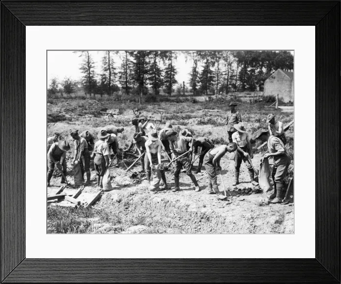 Framed Print : Australian pioneers of the 1st and 2nd Australian division at work behind the lines near Framed Print : Australian pioneers of the 1st and 2nd Australian division at work behind the lines near