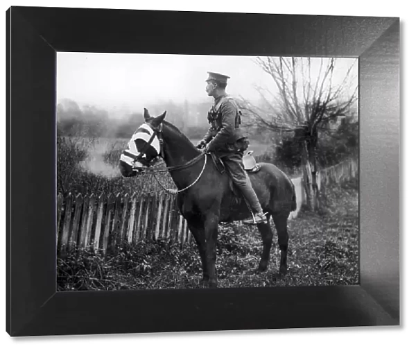 A British Cavalry Scout on alert. This image shows the care our men take of their horses