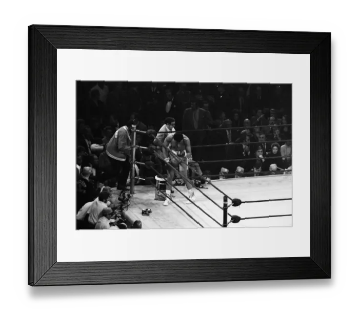Framed Print : Muhammad Ali and Joe Frazier battle it out for the World Heavyweight Championship in