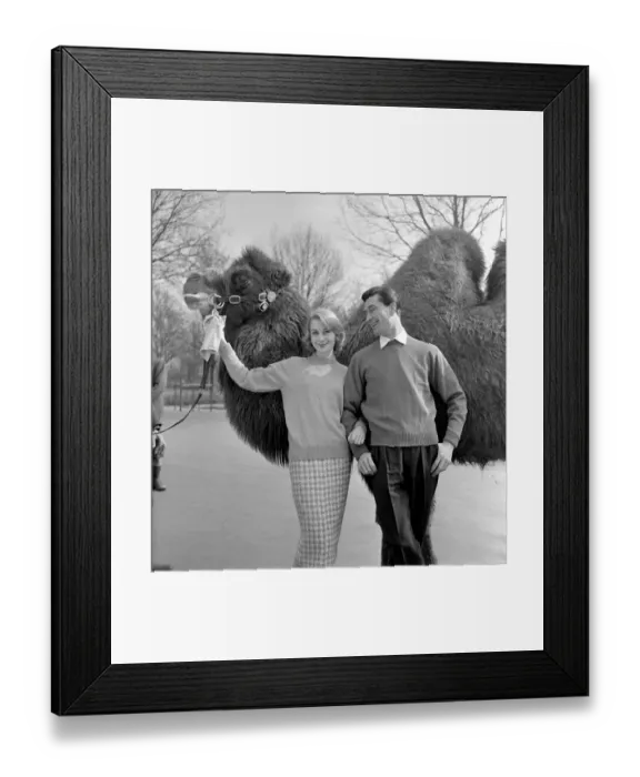 Framed Print : Clothing: Sweater fashions. March 1958 K1994-001