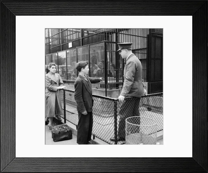 Framed Print : Ron Smith, Zoo Keeper, speaking with Clifford Preece 15 Framed Print : Ron Smith, Zoo Keeper, speaking with Clifford Preece 15