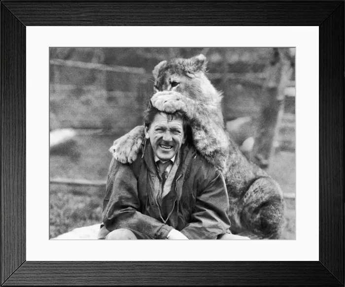 Framed Print : Blanco was just one day old whe his mother deserted him Framed Print : Blanco was just one day old whe his mother deserted him