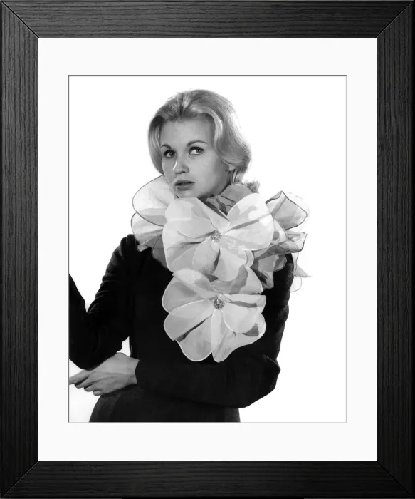 Framed Print : Reveille Fashions 1961: Wendy Tripp. May 1961 P006354 Framed Print : Reveille Fashions 1961: Wendy Tripp. May 1961 P006354
