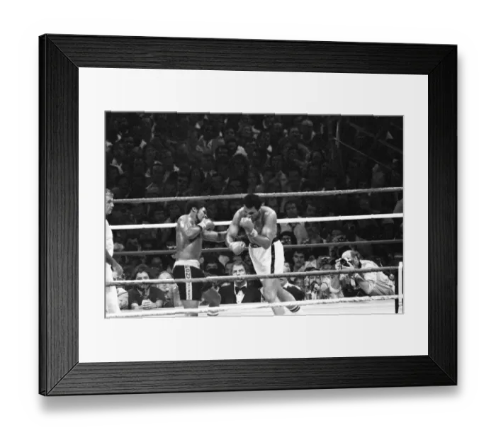 Framed Print : Muhammad Ali in his second match with Leon Spinks, at the Louisiana Superdome Framed Print : Muhammad Ali in his second match with Leon Spinks, at the Louisiana Superdome