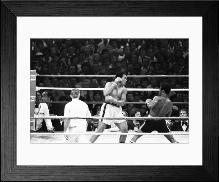 Framed Print : Muhammad Ali in his second match with Leon Spinks, at the Louisiana Superdome Framed Print : Muhammad Ali in his second match with Leon Spinks, at the Louisiana Superdome