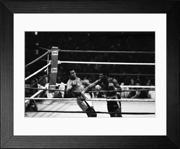 Framed Print : Muhammad Ali in his second match with Leon Spinks, at the Louisiana Superdome Framed Print : Muhammad Ali in his second match with Leon Spinks, at the Louisiana Superdome