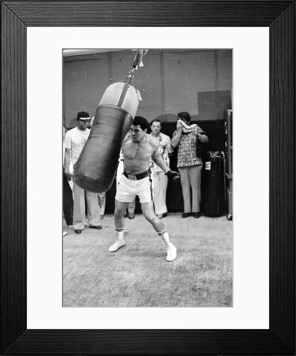 Framed Print : Muhammad Ali in training ahead of his second fight with Leon Spinks to be held Framed Print : Muhammad Ali in training ahead of his second fight with Leon Spinks to be held