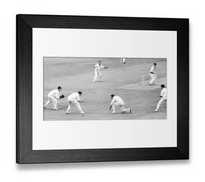 Framed Print : Australian cricket tour of England for the Ashes. England v Australia Third Test