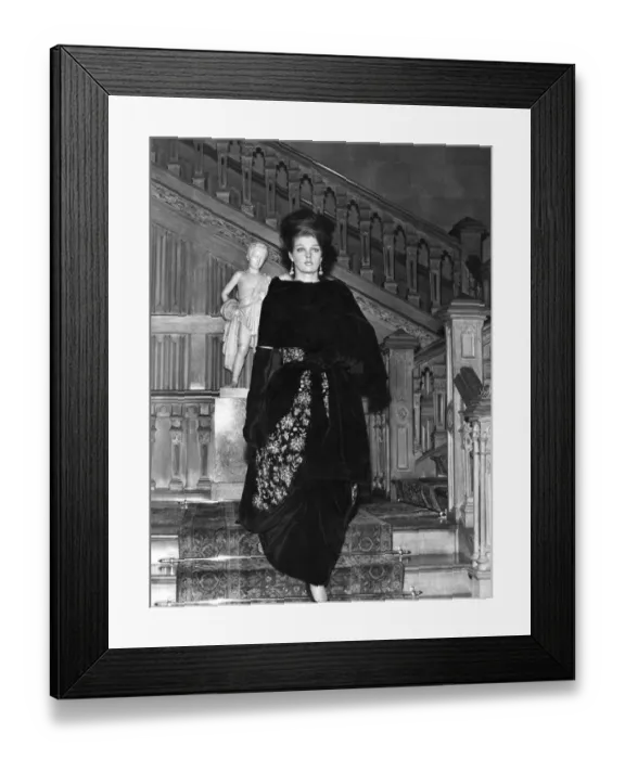 Framed Print : Whilst the M. Ps were debating the subject of Malise, she was modeling this evening dress Framed Print : Whilst the M. Ps were debating the subject of Malise, she was modeling this evening dress